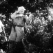 La Jungle