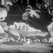 Féerie des Abeilles