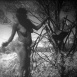 People of the Australian Western Desert