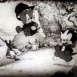 Kittens' Mittens