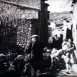 La Fièvre ondulante