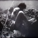 La Mer 1950/1960