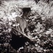 Conte de la Forêt