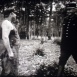 Conte de la Forêt