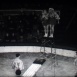 Les Jeux du Cirque "Sauteurs et Dompteurs"
