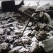 Ballade du Soldat (La)