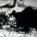 L'Ours et les Abeilles