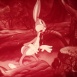 Bugs Bunny "Un Lapin viendra ce Soir"