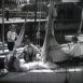 Le Sport de la Voile