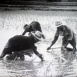 Thaïlande, Pays des Eaux