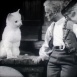Le Chat botté