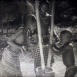 Côte d'Ivoire
