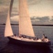 Gauloise 3