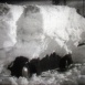 Actualités Gaumont 1951 B