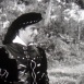 Cavalier à l'Armure d'Or (Le)