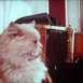 Le Chat, la Belette et le petit Lapin