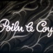 Poilu, le Coyote