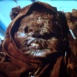 L'Aventure des Ewoks