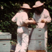 Des Fleurs et des Abeilles