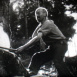 Abattage, Manutention, Transport des Bois