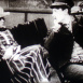 Cinema Director