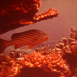 Montage Jacques-Yves Cousteau