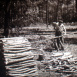 Le Charbon de Bois