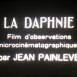 La Daphnie