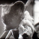 Le Rat des Villes et le Rat des Champs