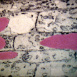 La Structure de la Cellule