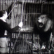 Les Jeux du Cirque "Dans la Cage et dans le Ciel"