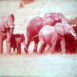 Dans la Réserve Africaine