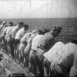 La Pêche aux Thons