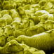 La Vie d'un petit Mouton