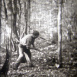 Abattage en Forêt
