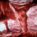Le Cerf des Carpathes