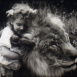 Alice aux Pays des Fauves