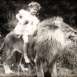 Alice aux Pays des Fauves