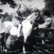 Stable Rivals