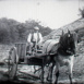 Collines de Provence