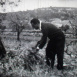 Collines de Provence