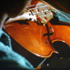 Naissance d'un Violon