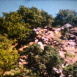 La Rivière à Truites