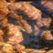 La Rivière à Truites