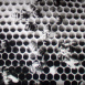 La Cité des Abeilles