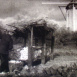 La Production du Maïs "La Récolte"