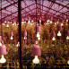Les nouveaux Agriculteurs
