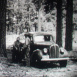 Les Gardiens de la Forêt