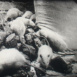 Actualités Revue Filmée de l'Europe 1953 N°7