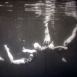 Le Ballet des Sirènes